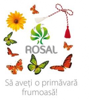 ROSAL face curățenie de primăvară in Ploiesti - programul din 14 martie