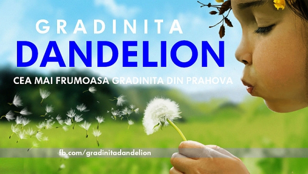 gradinita dandelion