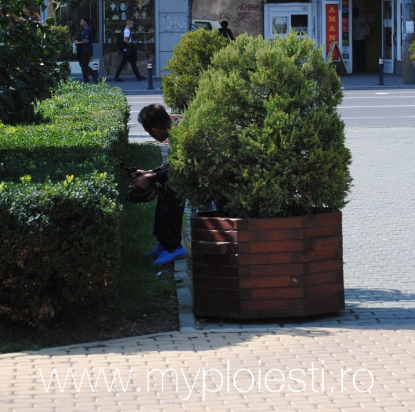 Uite-l pe unul care sta invers pe banca, in parc