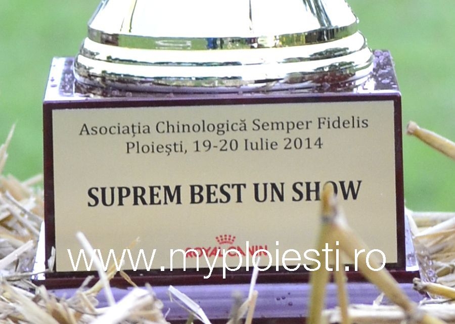 Concurs canin - Ploiesti 2014 - GALERIE FOTO