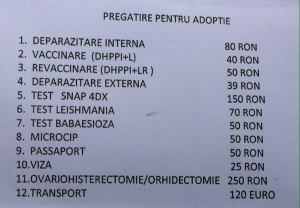 Afacerea SECRETA a iubitorilor de caini - EXPORTUL, la 400 de euro bucata