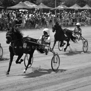 Poze spectaculoase de la derby-ul de trap - GALERIE FOTO