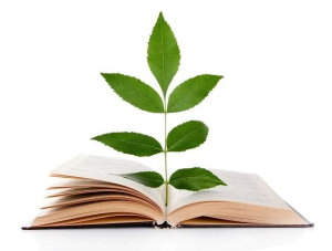 Cum se schimba EDUCATIA din cauza schimbarilor climatice