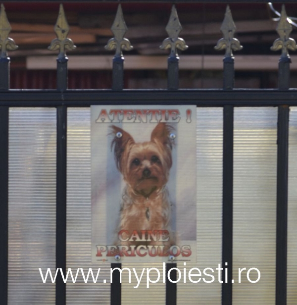 Cel mai haios poster de tip CAINE RAU din Ploiesti - FOTO