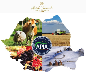 APIA România a ales Hotel Central Ploiești pentru instruirea anuală