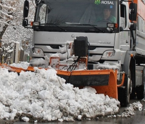 Rosal si SGU au scos duminica pe strazi nu doar masinile, ci si toti oamenii