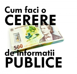 Cum faci o cerere de informatii publice