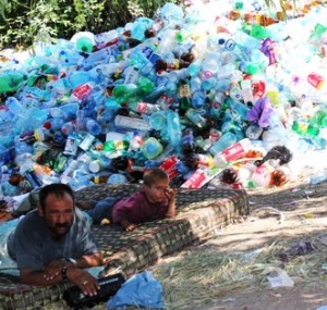 RAZBOIUL PET-urilor scapat de sub control - ce spune Politia Locala Ploiesti