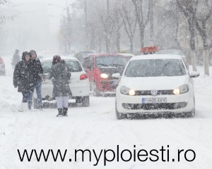 Ce-au cautat azi in trafic masinile de Scoala de Soferi?