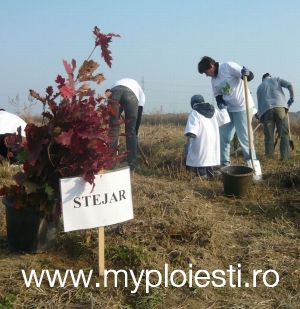 Tara lui Andrei, de langa Ploiesti, a ajuns la 25.000 de copaci