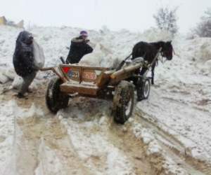 Un carutas a vrut sa profite de VISCOL, dar si-a furat-o de la Politia Locala Ploiesti