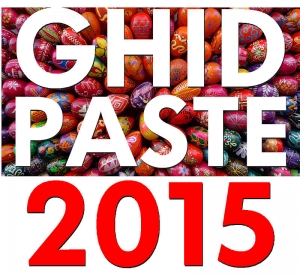 Ghid PASTE 2015