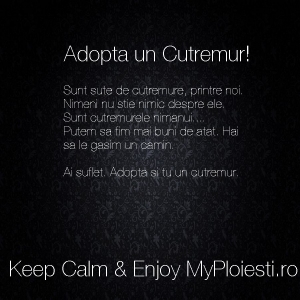 Adopta un cutremur :))