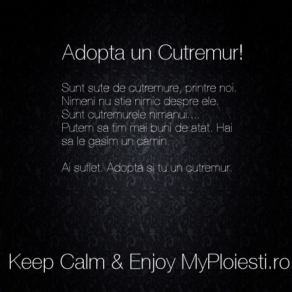 Adopta un cutremur :))