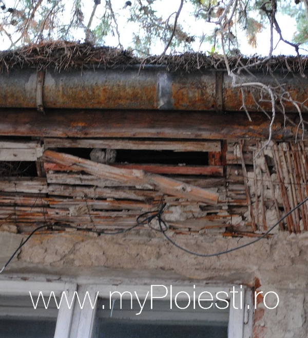 In curtea carei institutii din Ploiesti poti vedea asa ceva?